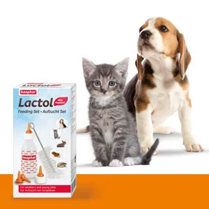 100 години Lactol: сухо мляко за кученца и котенца