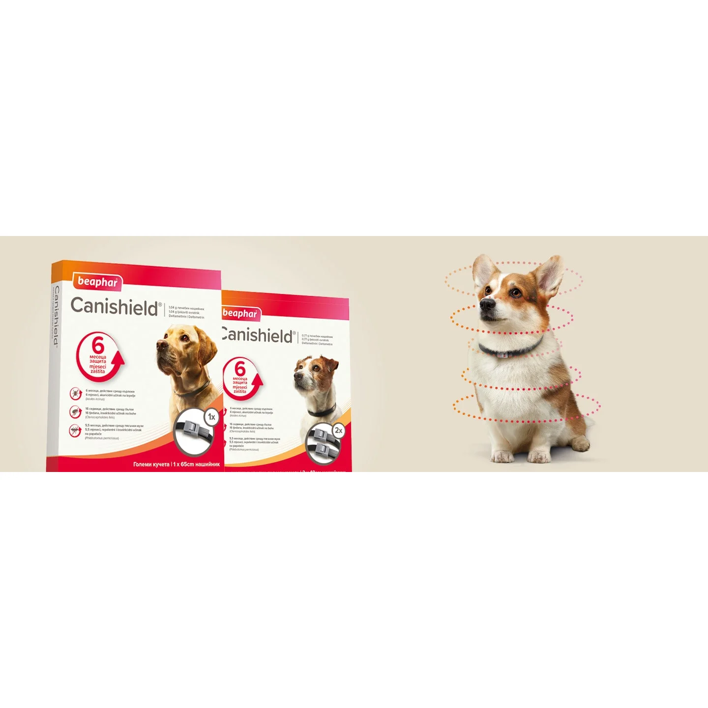 dog-and-canishield-anti-parasite-collars