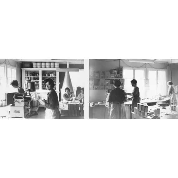 Beaphar_First_Factory